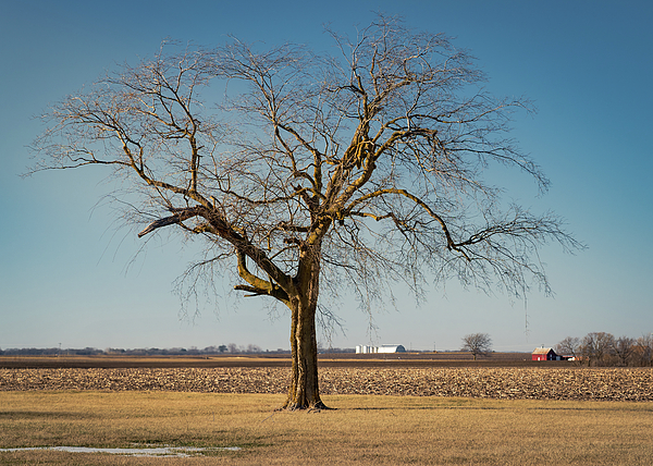 Barn Photographs