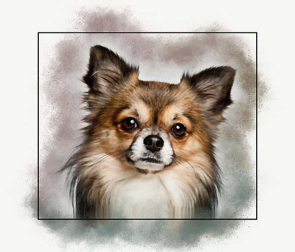 https://images.fineartamerica.com/images/artworkimages/medium/3/long-haired-mexican-chihuahua-dog-robert-kinser.jpg