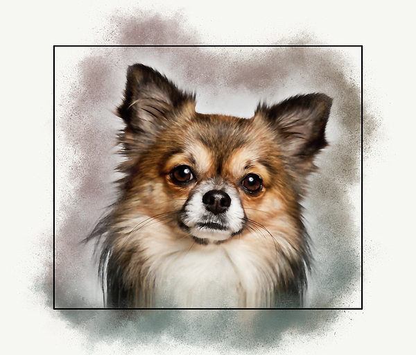 Chihuahua Dog Jigsaw Puzzle