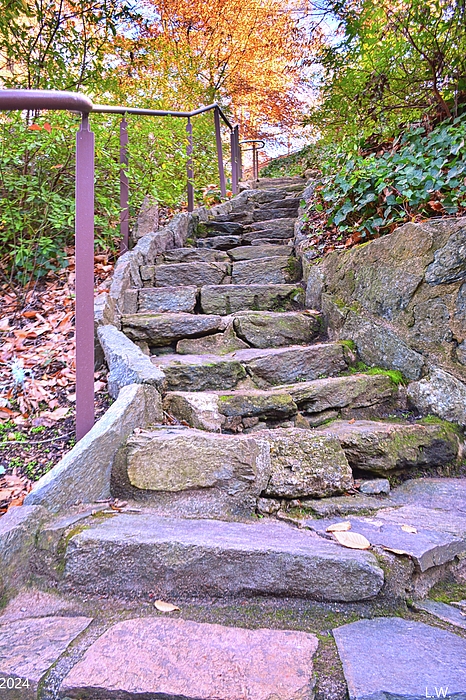 Lisa Wooten - Looking Up The Steps In Falls Park On The Reedy