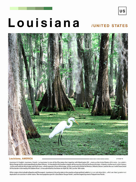 Louisiana Poster Landscape Women's T-Shirt by Pablo Romero - Pixels