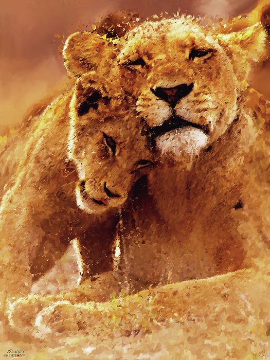 Gradify Creations - Love of Lioness