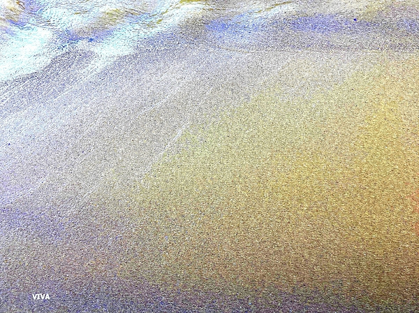 VIVA Anderson - Low Tide Sandbank