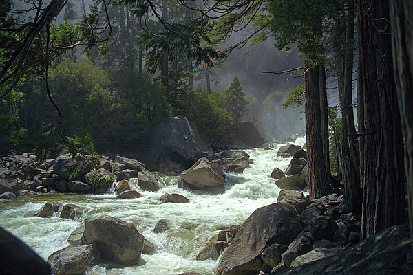 Bonnie Colgan - Lower Yosemite Falls - Bridgeside - Yosemite National Park, Yosemite, California