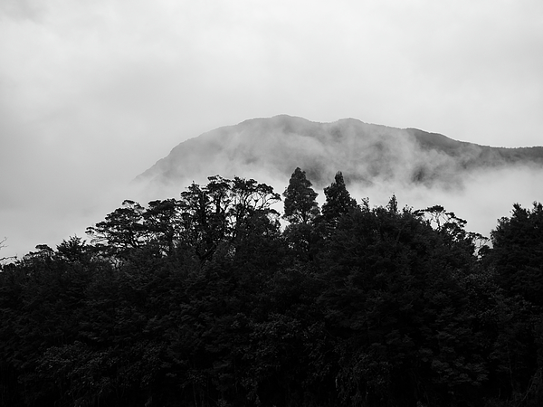 mountain jungle mist stock photos - OFFSET