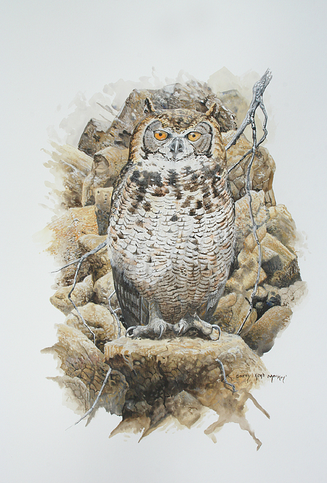 Owl Art