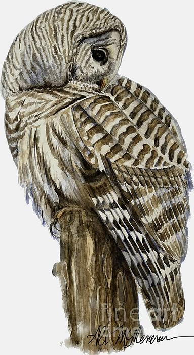 Ali McMenamin - Magnificent Barred Owl