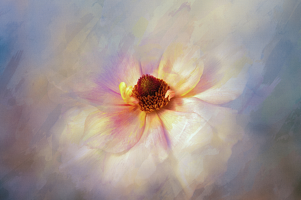 Terry Davis - Magnolia Beauty