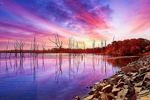 Geraldine Scull - Manasquan Reservoir  sunrise series