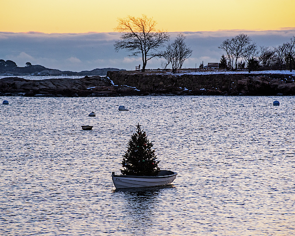 Marblehead MA Little Harbor Row Boat Christmas Tree at Sunrise