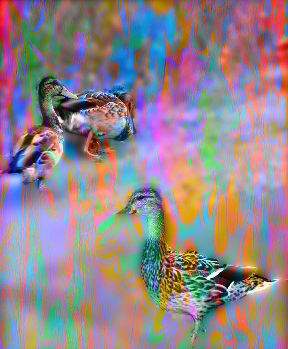 Mike Breau - March of the Mallards abstract