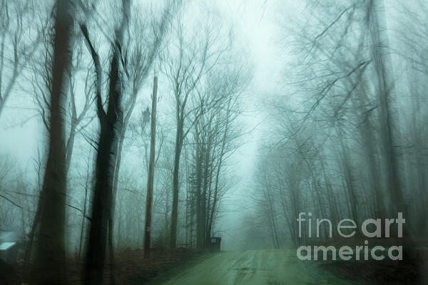 Renata Natale - March Roads in Fog