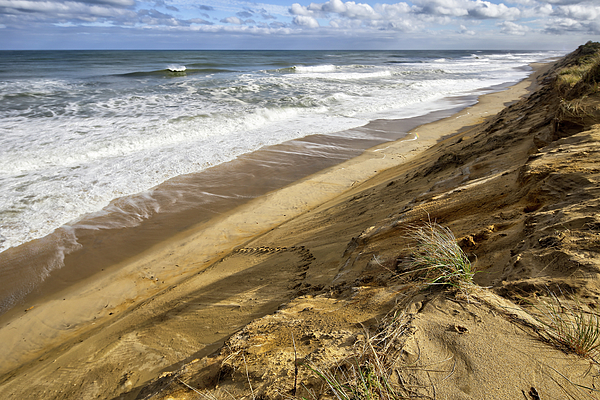 National Seashore Art