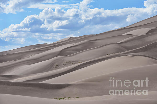 Catherine Sherman - Massive Sand Dunes in Colorado