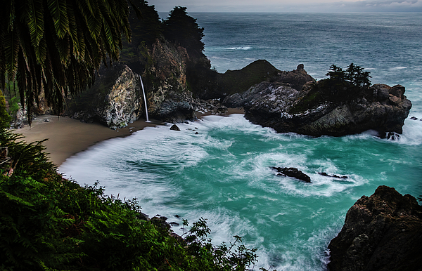 James Williams - McWay Falls with Palm Tree