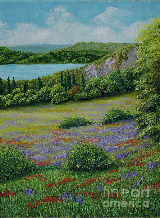 Meadow Paintings