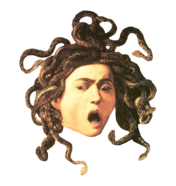 Premium Photo  A medusa with a snake on her head