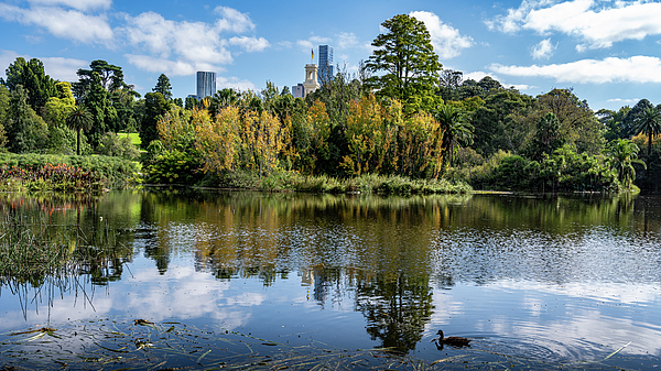 Graeme Welsh - Melbourne Botannical Gardens