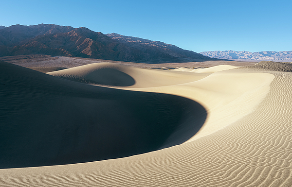 Joan Carroll - Mesquite Sand Dunes Death Valley National Park California 2
