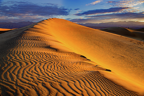 Leilani Heying - Mesquite Sand Dunes