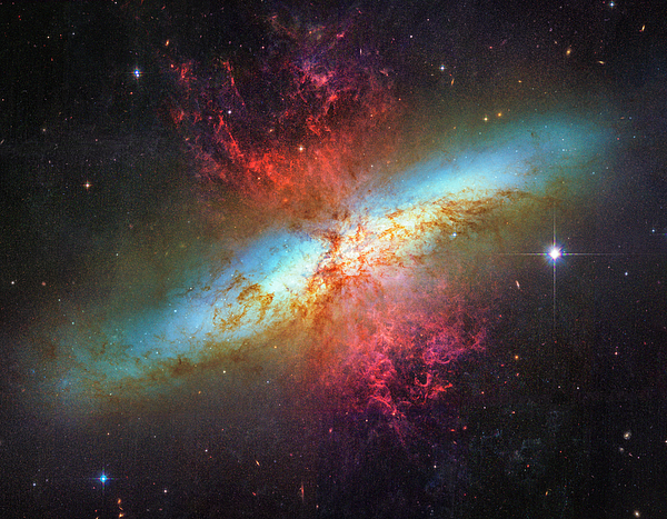 Carol Japp - Messier 82 Starburst Galaxy by NASA ESA and Hubble Space Telescope