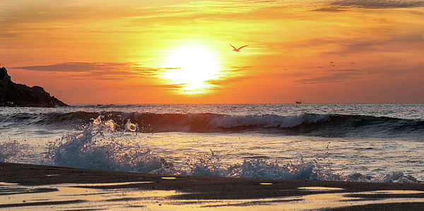 Judi Dressler - Mexican Beach Sunset