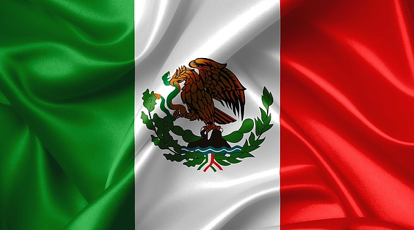 Mexican Flag Fleece Blanket by NoMonkey B - Pixels