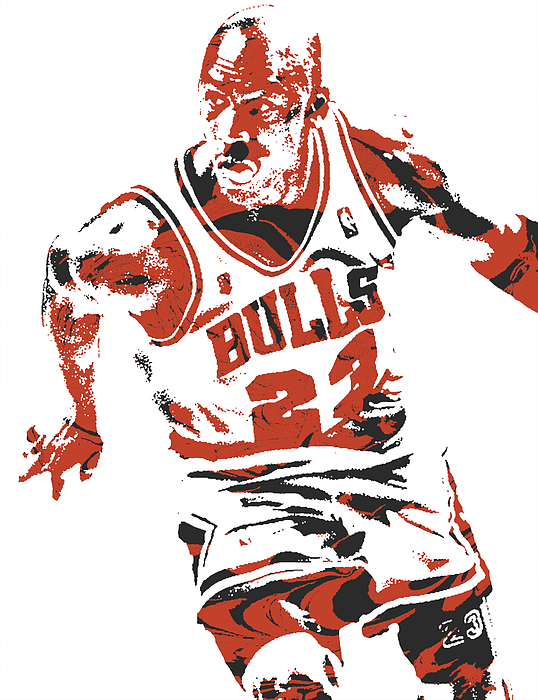 Chicago Bulls NBA Store eGift Card ($10-$500)
