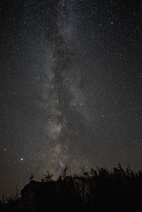 Julie Barrick - Milky Way over Yellowstone National Park