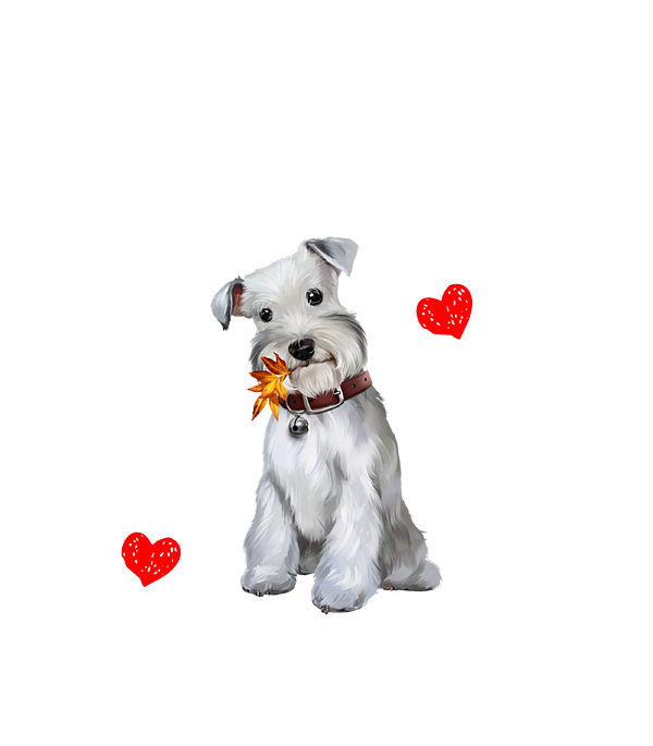 https://images.fineartamerica.com/images/artworkimages/medium/3/miniature-schnauzer-dog-happiness-is-a-mini-schnauzer-gifts-skyeld-carin-transparent.png