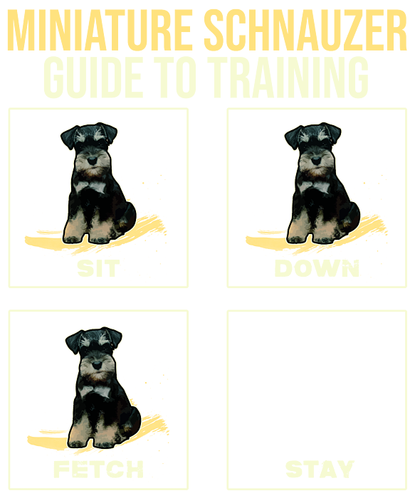 how to train miniature schnauzer not to bark