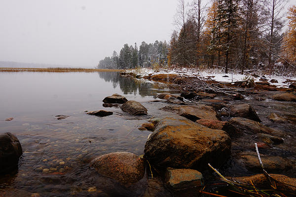 Headwaters Mug