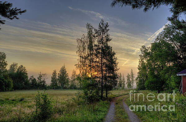 Veikko Suikkanen - Misty July morning