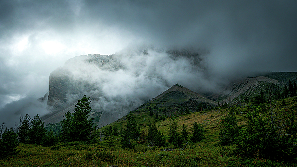 Diane Raaum - Misty Mountains