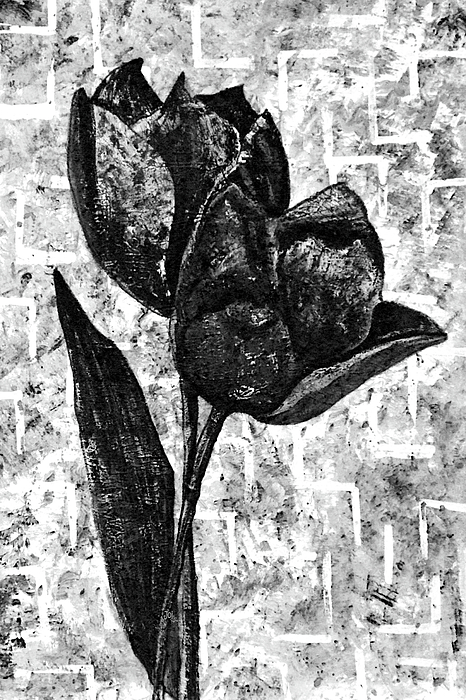 https://images.fineartamerica.com/images/artworkimages/medium/3/monochromatic-black-white-flower-duo-abstract-joi-at-the-ranch.jpg