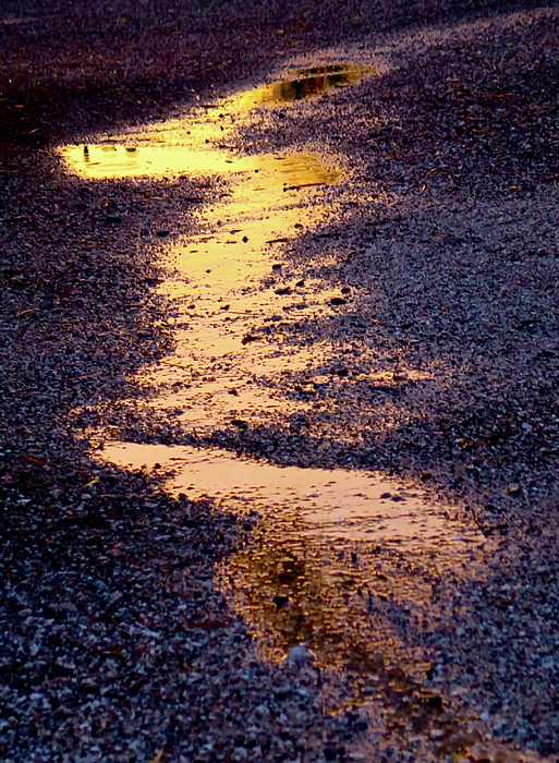Bonnie See - Monsoon Sunset Puddle