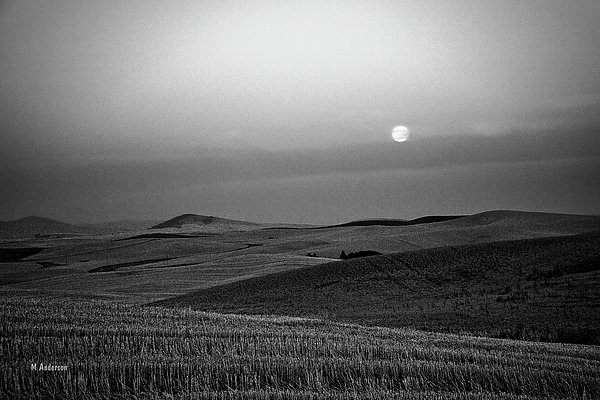 Michael R Anderson - Moon Rise on The Palouse - BW