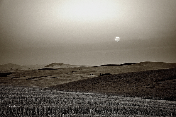 Michael R Anderson - Moon Rise on The Palouse in sepia