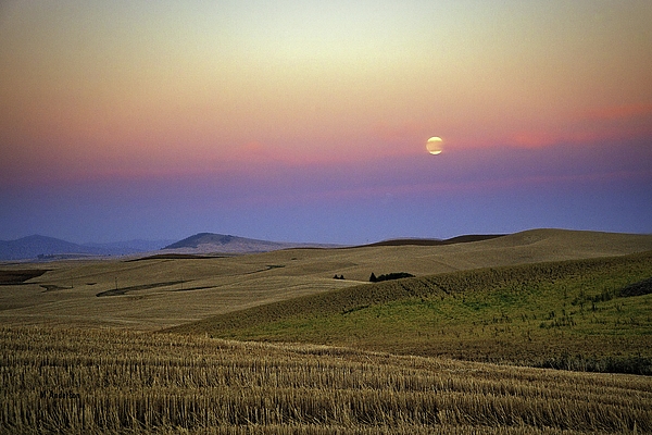 Michael R Anderson - Moon Rise on The Palouse