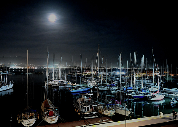 Sherilyn Harper - Moonlight View of Pireaus Port Marina in Greece with Boats and Street at Night