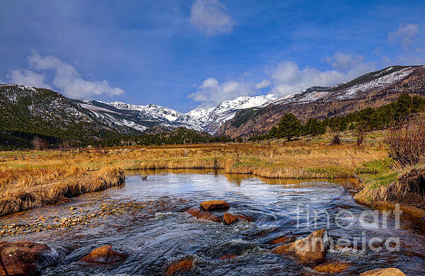 Landscape Photographs