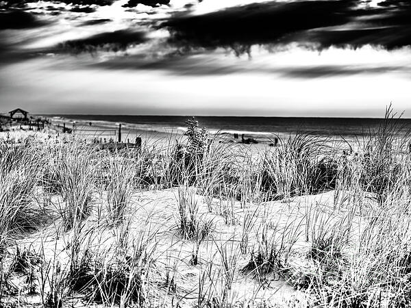 John Rizzuto - Morning Dune at Beach Haven