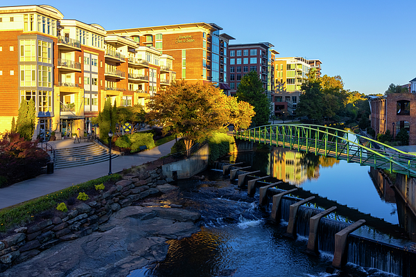 Denise Harty - Morning Light in Downtown Greenville