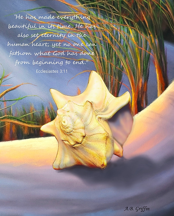 Allison Griffin - Morning Light- Seashell Bible Verse