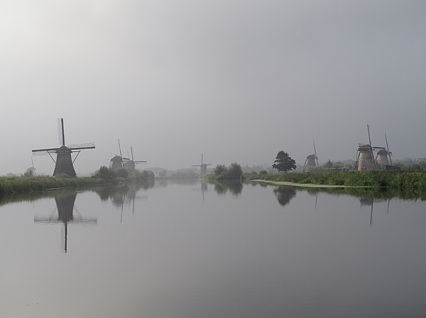 Phyllis Taylor - Morning Mist on Kinderdijk Windmills