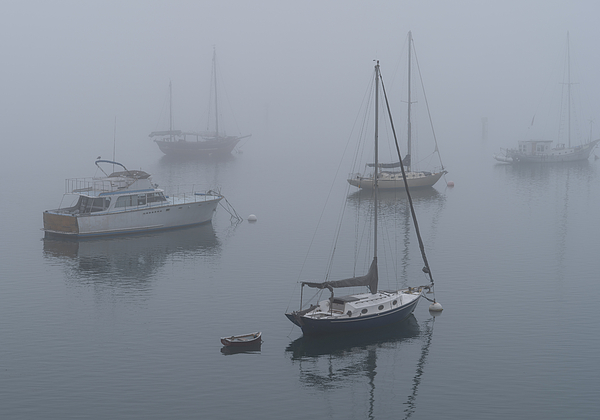 John Mandeville - Morro Bay Fog