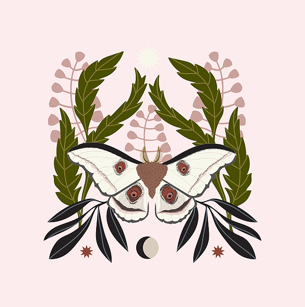 Design