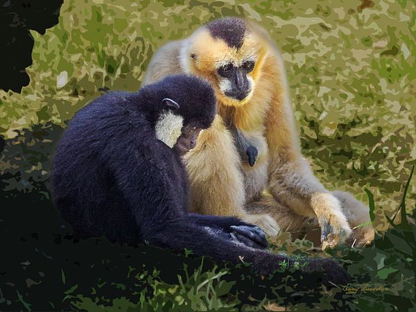 Penny Lisowski - Mother and Son White cheeked Gibbons