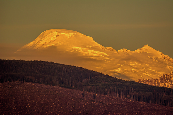 Marv Vandehey - Mount Baker in Golden Hour Light
