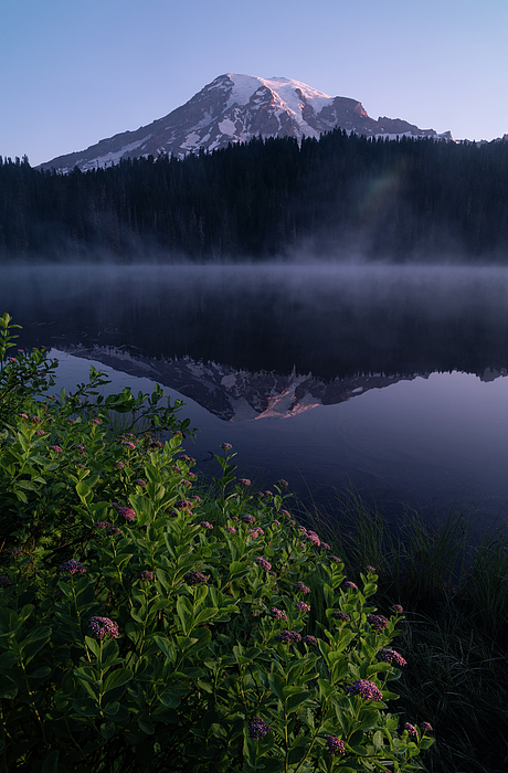 Jennifer Richardson - Mount Rainier, Rainbows and Reflections